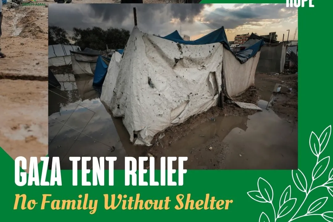 Gaza Tent Relief – No Family Without Shelter
