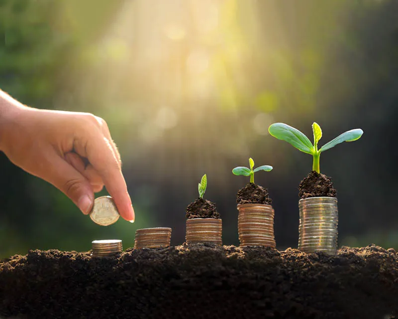 Pertubuhan Benih AMal